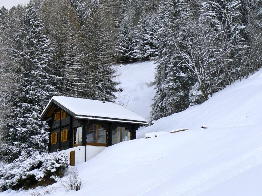 Ski in - ski out chalet La Piste