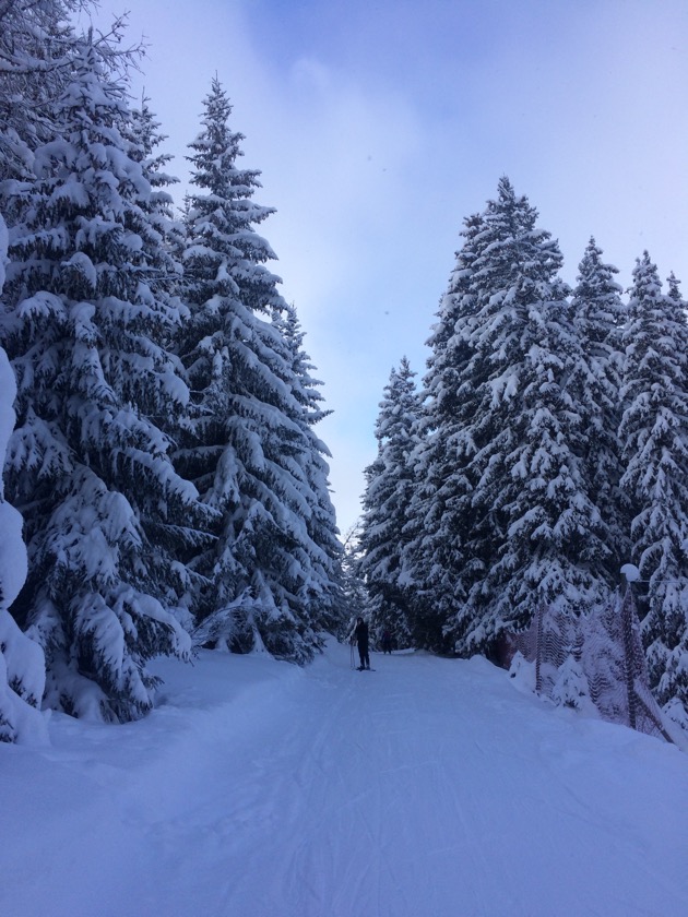 4-Vallées Skigebied